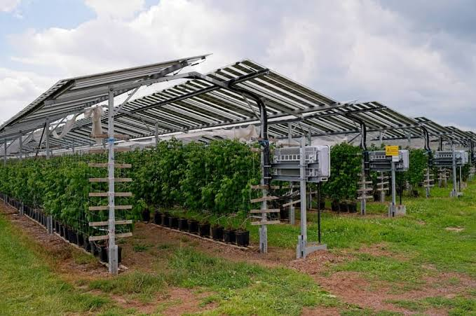 Agrivoltaics