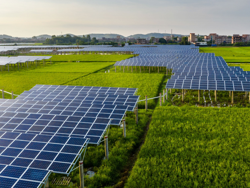 Agrivoltaics