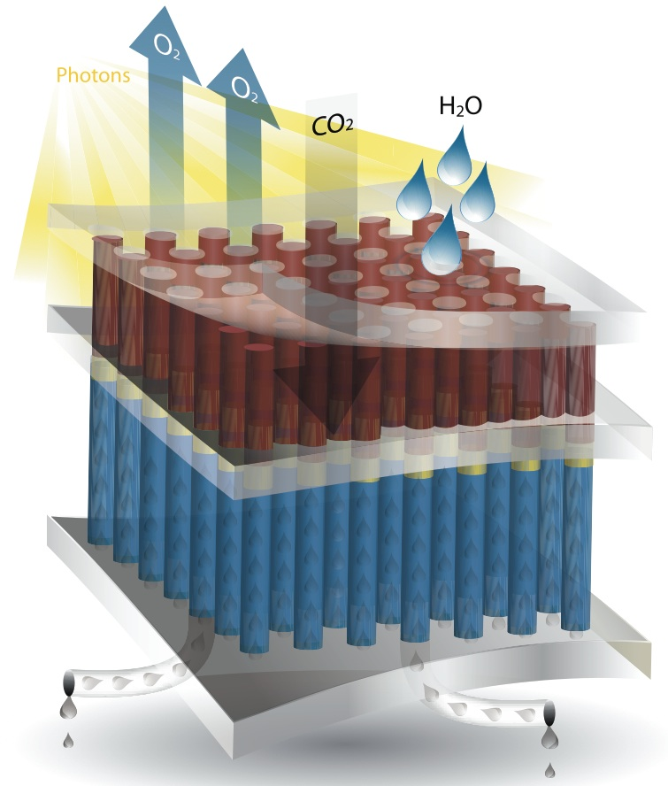 Artificial Photosynthesis