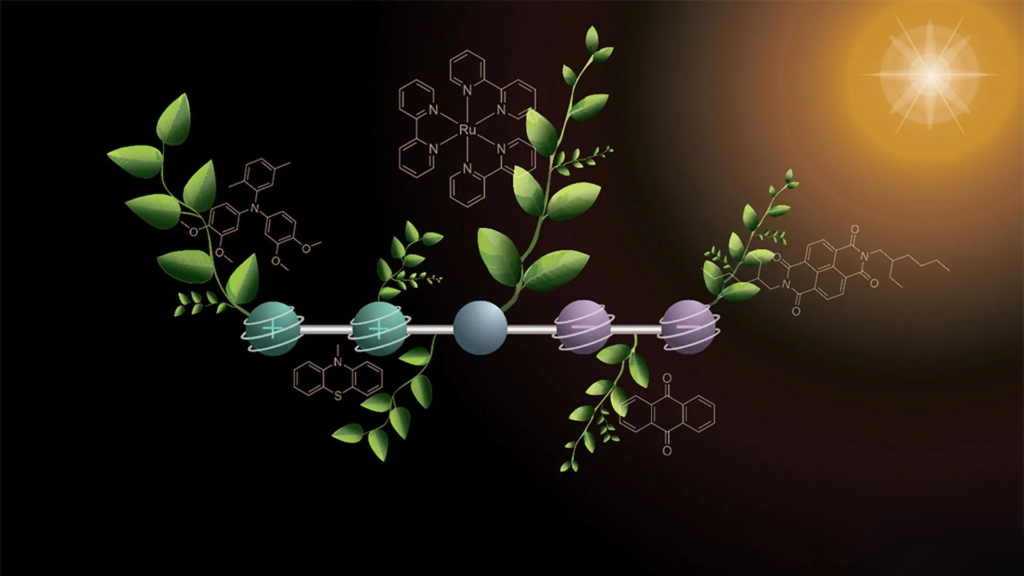 Artificial Photosynthesis