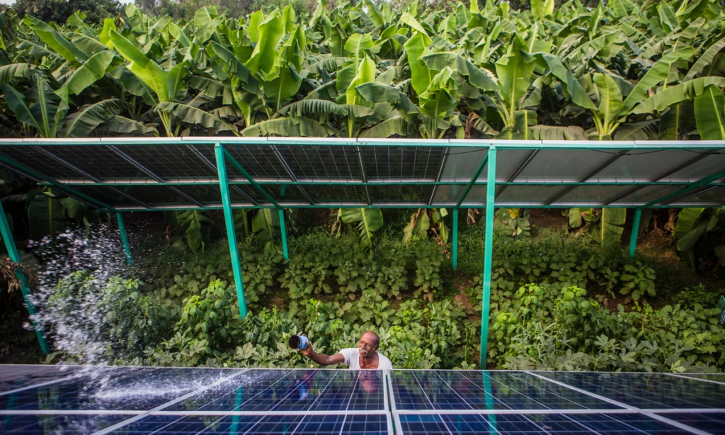 Renewable Energy