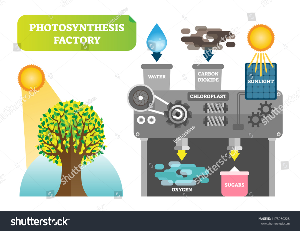 Artificial Photosynthesis Market Infographic